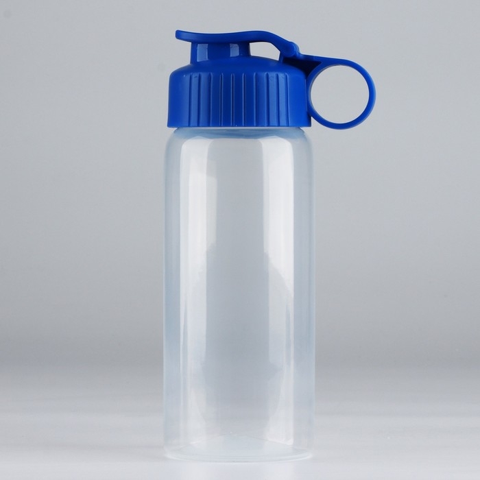 Бутылка для воды «Вид 5», 450 мл Бутылка для воды «Вид 5», 450 мл