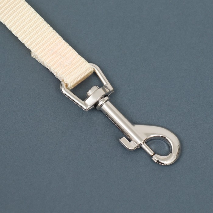 Поводок 2 м х 1,5 см, бежевый Поводок 2 м х 1,5 см, бежевый