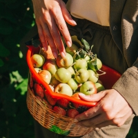 Ёмкость для сбора ягод, 3 л, &laquo;Корзина&raquo;, красная