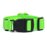 Ошейник с подсветкой, зарядка от USB, размер XS, ОШ 28-38 см, 3 режима, зелёный Ошейник с подсветкой, зарядка от USB, размер XS, ОШ 28-38 см, 3 режима, зелёный