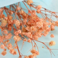 Букет из сухоцветов &laquo;Чудесного дня&raquo;, 13 &times; 21 &times; 5 см