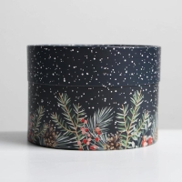 Коробка подарочная &laquo;С Новым годом&raquo;, 12 х 8 см, Новый год