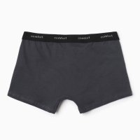 Трусы мужские боксеры, цвет темно-серый, размер 48 (L) Трусы мужские боксеры, цвет темно-серый, размер 48 (L)