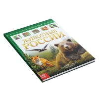 Детская энциклопедия в твёрдом переплёте &laquo;Животные России&raquo;, 48 стр.
