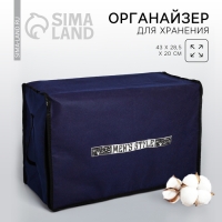 Органайзер для хранения белья, кофр с pvc-окном &laquo;Men style&raquo;, 43 х 28,5 х 20 см.