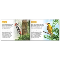 Обучающие книги набор &laquo;Удивительный мир&raquo; 6 шт. по 20 стр.