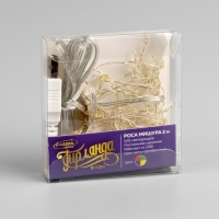 Гирлянда «Мишура» 2 м роса, IP20, серебристая нить, 100 LED, свечение мульти, USB Гирлянда «Мишура» 2 м роса, IP20, серебристая нить, 100 LED, свечение мульти, USB