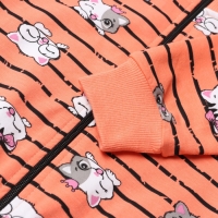 Толстовка для девочки, цвет коралловый, рост 104 см Толстовка для девочки, цвет коралловый, рост 104 см