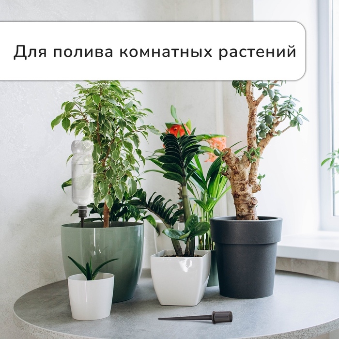 Автополив для комнатных растений под бутылку, регулируемый, серый, из пластика, высота 16 см, 4 шт.
