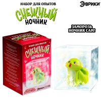 Набор для опытов &laquo;Снежный ночник: Змейка&raquo;, своими руками