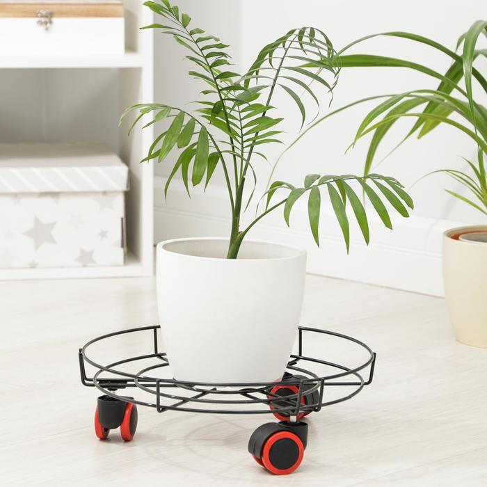 Подставка для цветов на колёсиках Доляна, 34&times;34&times;10 см, цвет чёрный