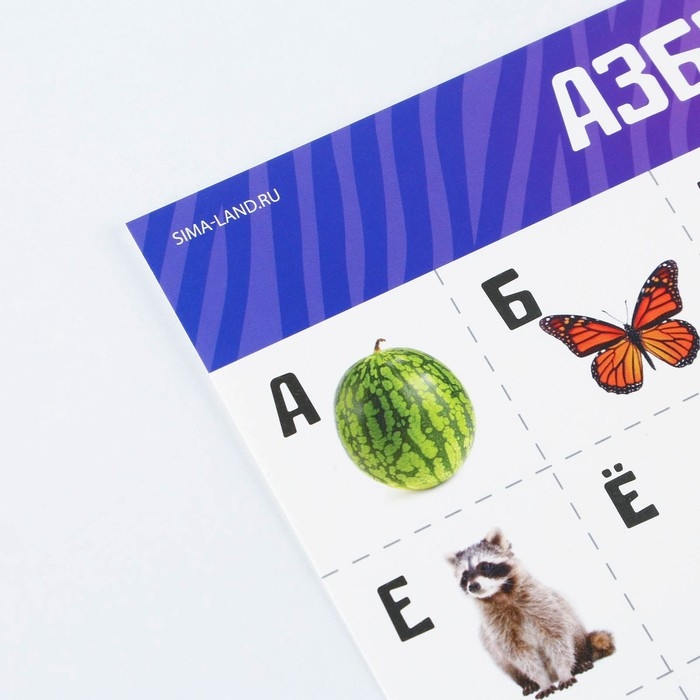 Набор обучающих плакатов «Изучаем мир», 10 в 1, А4 Набор обучающих плакатов «Изучаем мир», 10 в 1, А4