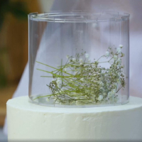 Фальшярус для торта, цилиндр, d=20 см, h=12 см, цвет прозрачный Фальшярус для торта, цилиндр, d=20 см, h=12 см, цвет прозрачный