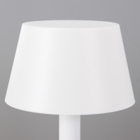 Настольная лампа с ПДУ "Вильям" LED 0.9Вт 4000К USB АКБ белый 11х11х16,2см RISALUX