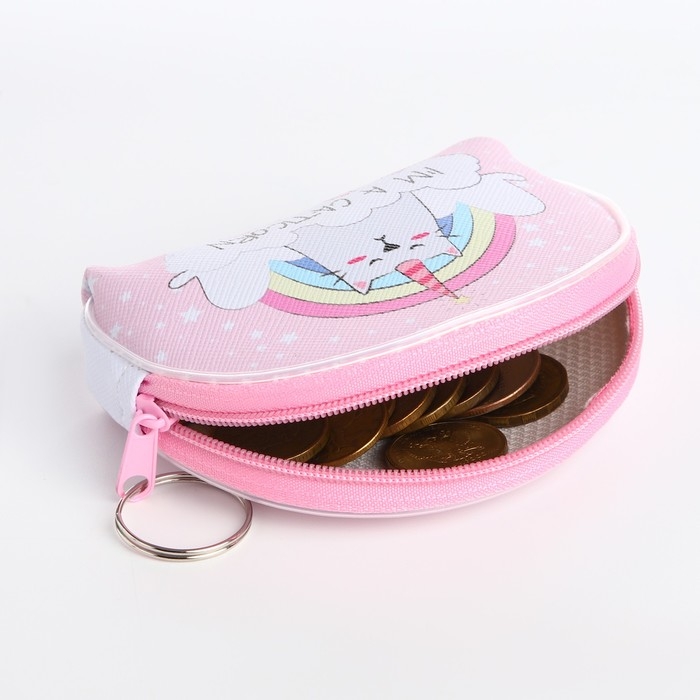 Кошелёк на молнии &laquo;Выбражулька&raquo;, цвет МИКС