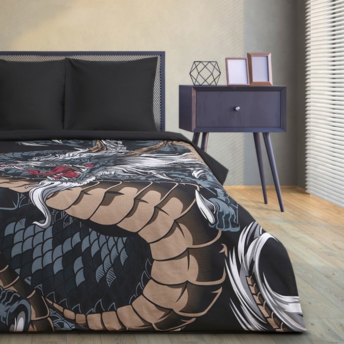 Постельное бельё Этель 1.5 сп "Dragon" 143х215 см, 150х214 см, 70х70 см - 2 шт, бязь