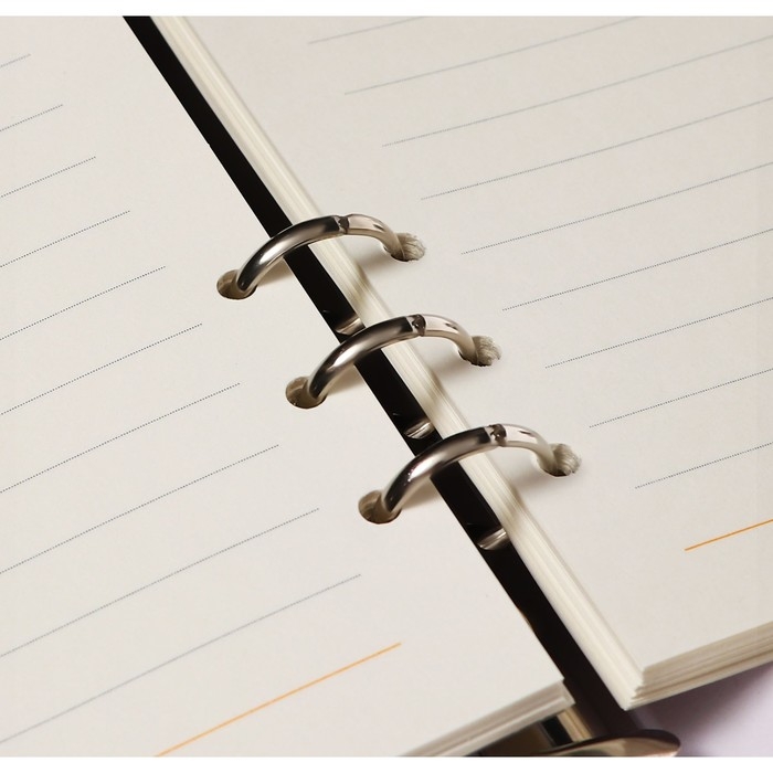 Органайзер на кольцах А5, 80 листов, кожзам, линия, с хлястиком, черный Органайзер на кольцах А5, 80 листов, кожзам, линия, с хлястиком, черный