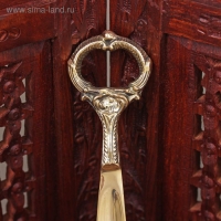 Ложка для обуви "Кольцо" латунь 25х5х1 см