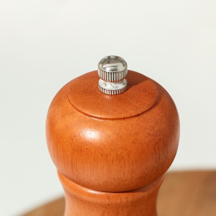 Набор для специй Доляна &laquo;Дуэт&raquo;, 16,5 см, 2 мельницы, акация