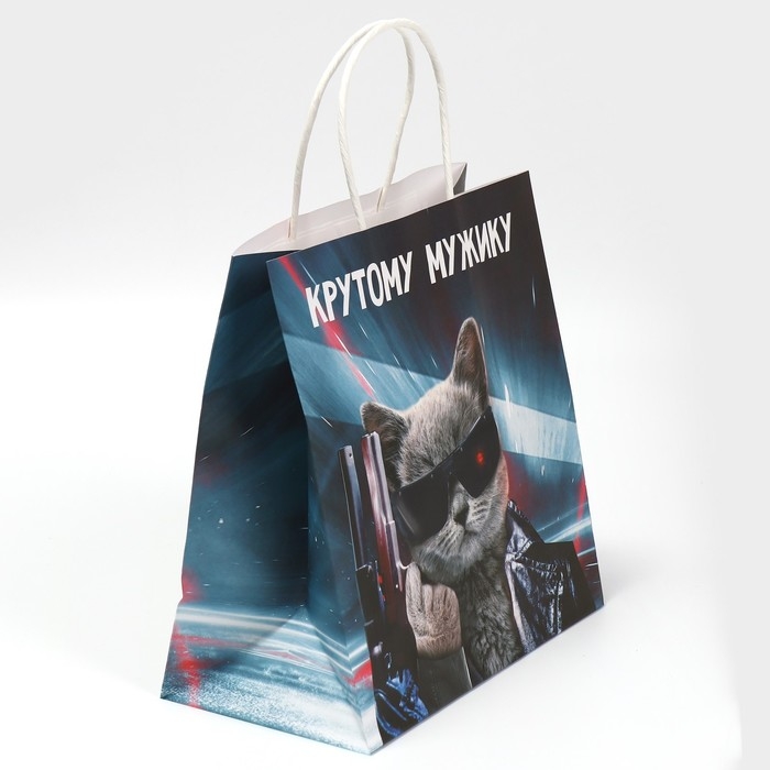 Пакет подарочный, упаковка, &laquo;Мужику&raquo;, 22 х 22 х 11 см