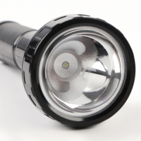 Фонарь ручной аккумуляторный, 5 Вт, 800 мАч, 3535LED, 2 режима, IPX2, 19.8 х 6.4 см Фонарь ручной аккумуляторный, 5 Вт, 800 мАч, 3535LED, 2 режима, IPX2, 19.8 х 6.4 см