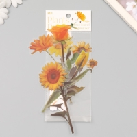 Наклейки пластик "Цветы и цитаты. Желтые" набор 12 шт 8,5х21,5х0,2 см Наклейки пластик "Цветы и цитаты. Желтые" набор 12 шт 8,5х21,5х0,2 см