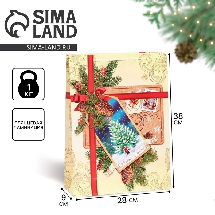 Пакет подарочный новогодний ламинированный &laquo;С Новым годом!&raquo;, L 28 х 38 х 9 см