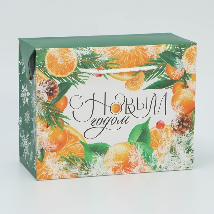 Пакет&mdash;коробка &laquo;Снежная история&raquo;, 23 х 18 х 11 см