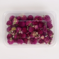 Свеча своими руками. Создание цветных свечей с цветочным декором «Летнее настроение», набор для творчества Свеча своими руками. Создание цветных свечей с цветочным декором «Летнее настроение», набор для творчества