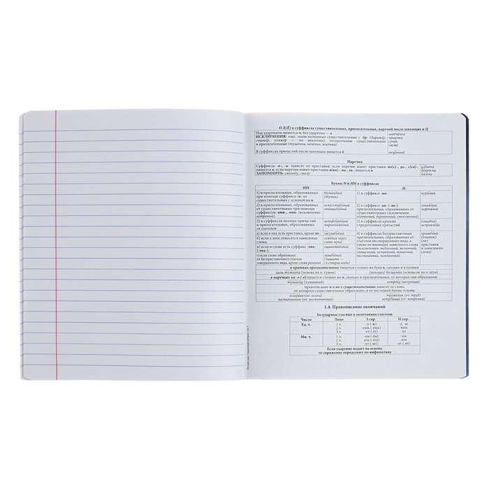 Тетрадь предметная РУССКИЙ ЯЗЫК, 48 листов в линейку, ErichKrause Manga, обложка мелованный картон, твин-лак, блок офсет 100% белизна, инфо-блок