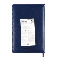 Ежедневник датированный 2025 года, ESCALADA, A5 176 листов, твердая обложка кожзам с поролоном, блинтовое тиснение, перфорация на обложке, блок 70 г/м2, синий