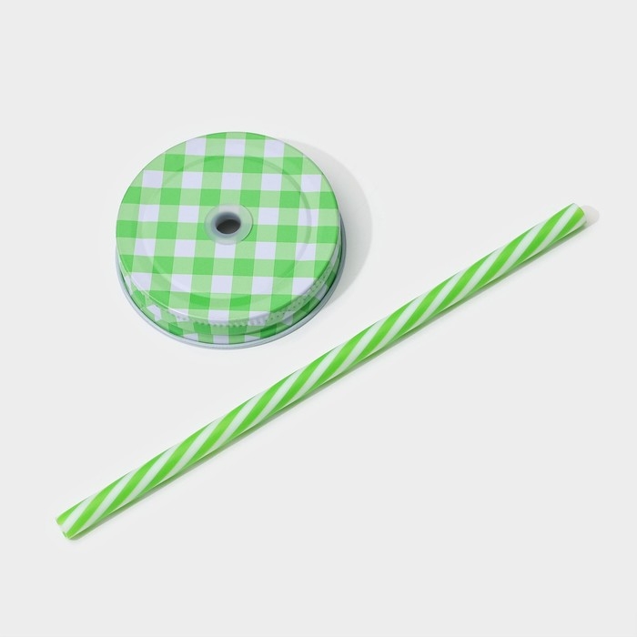 Кружка стеклянная с крышкой и трубочкой Доляна «Кактус», 450 мл, 11×7×15 см Кружка стеклянная с крышкой и трубочкой Доляна «Кактус», 450 мл, 11×7×15 см