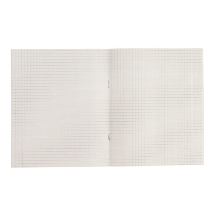 Комплект тетрадей из 5 штук (4 разные + 1 повторяющаяся), 36 листов в клетку Calligrata Комплект тетрадей из 5 штук (4 разные + 1 повторяющаяся), 36 листов в клетку Calligrata "Бабочки", обложка мелованная бумага, блок №2, белизна 75% (серые листы)