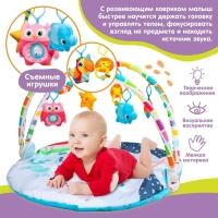 Развивающий коврик «Совушка», с дугами, 84х84х0,5 Развивающий коврик «Совушка», с дугами, 84х84х0,5