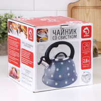 Чайник со свистком из нержавеющей стали Доляна &laquo;Каррар&raquo;, 2,8 л
