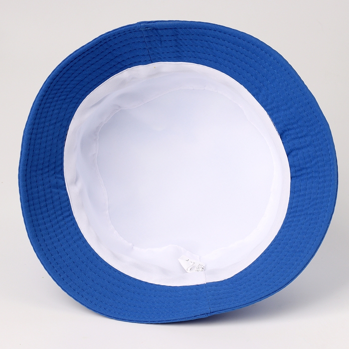 Панама детская для мальчика &laquo;Динозаврики&raquo;, р-р 54