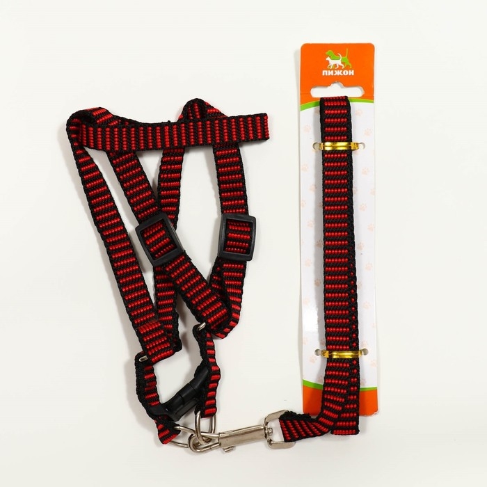 Комплект амуниции рельефный, 1,5 см, шлейка 36-49 см, поводок 120 см, красно-чёрный Комплект амуниции рельефный, 1,5 см, шлейка 36-49 см, поводок 120 см, красно-чёрный