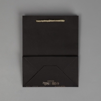 Пакет подарочный, упаковка, «Поздравляю», чёрный крафт, 18 х 23 х 10 см Пакет подарочный, упаковка, «Поздравляю», чёрный крафт, 18 х 23 х 10 см