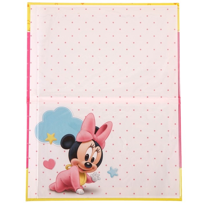 Обложка для документов набор Обложка для документов набор "Мои первые документы", Минни Маус, 21х30 см