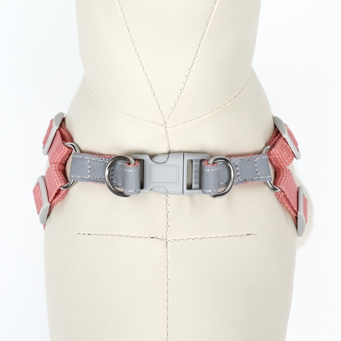 Комплект Sport+, XS, поводок 120 x 1,5 см, ОШ 37-39 см, ОГ 41-46 см, вес животного 4-6 кг, розовый