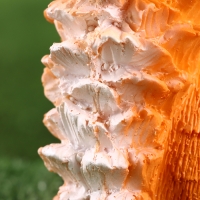 Садовая фигура "Бельчонок" 8х14х15см /// Садовая фигура "Бельчонок" 8х14х15см ///