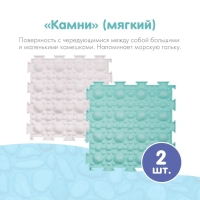 Модульный массажный коврик ОРТОДОН, набор «Чистюля», антибактериальный Модульный массажный коврик ОРТОДОН, набор «Чистюля», антибактериальный