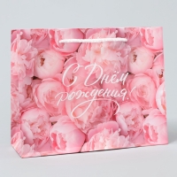 Пакет подарочный ламинированный, упаковка, &laquo;С Днём рождения!&raquo;, MS 23 х 18 х 8 см