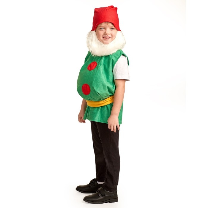 Карнавальный костюм &laquo;Гном&raquo;, 5-7 лет, рост 122-134 см