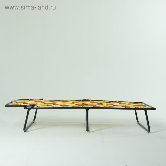 Раскладушка детская "Малыш" с регулируемым подголовником, 145х65х23см