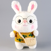 Мягкая игрушка «Зайка», в кофточке с сумочкой, 25 см, цвет МИКС Мягкая игрушка «Зайка», в кофточке с сумочкой, 25 см, цвет МИКС