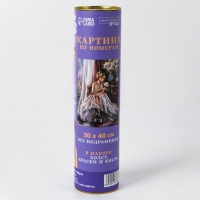 Картина по номерам в тубусе &laquo;Балерина&raquo;, 30 х 40 см