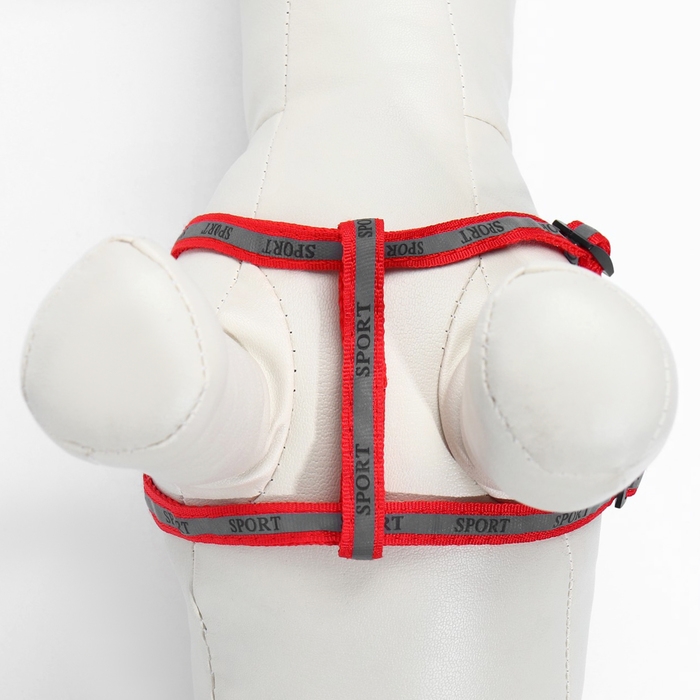 Комплект "Спорт" светоотражающий, поводок 120 х 1 см, ОГ 23-35 см, красный