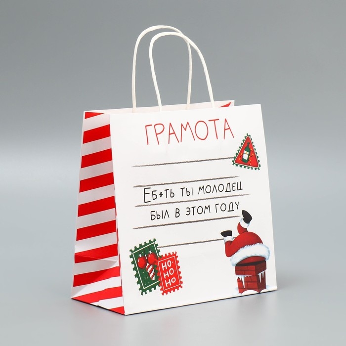 Пакет подарочный новогодний крафтовый «Молодец», 22 х 22 х 11 см, Новый год Пакет подарочный новогодний крафтовый «Молодец», 22 х 22 х 11 см, Новый год