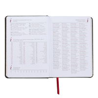 Ежедневник недатированный А5+, 136 листов Sidney Nebraska, твёрдая обложка, искусственная кожа, серебряный срез, чёрный